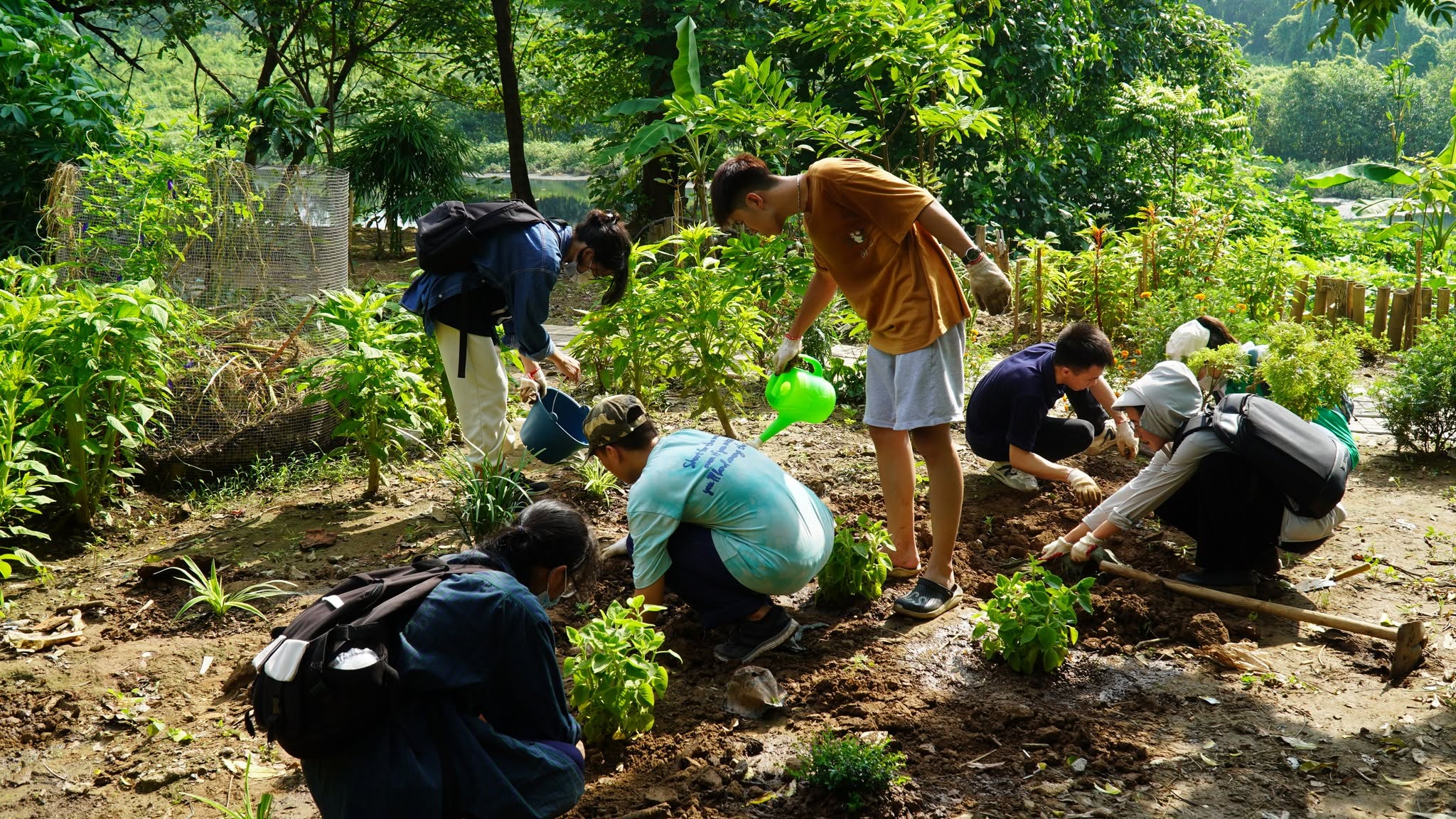 CHUONG DUONG RENOVATION - Ảnh 7