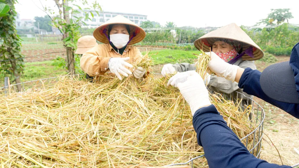 Regenerative Agriculture