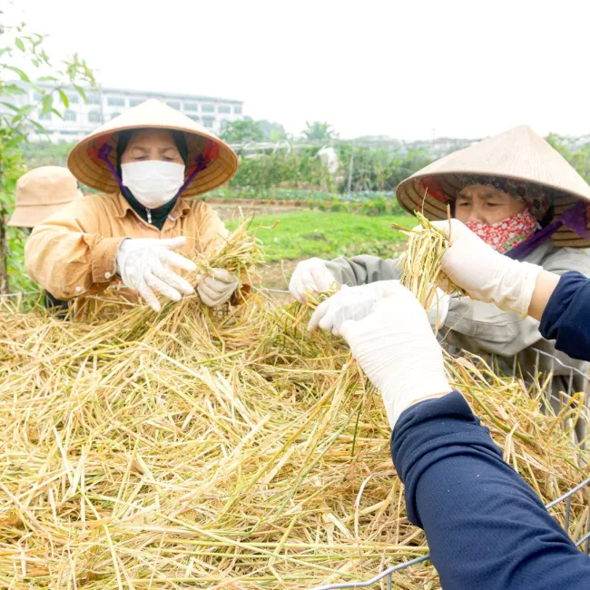 REGENERATIVE AGRICULTURE - Ảnh 5