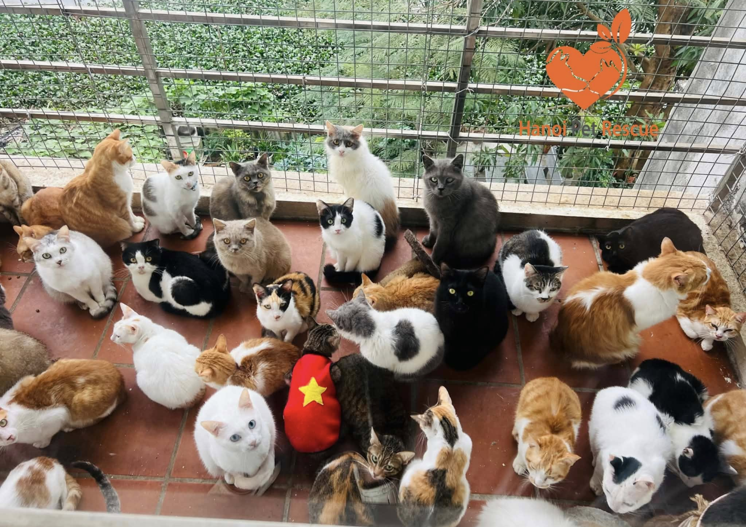Hanoi Pet Rescue Station - CPAPS