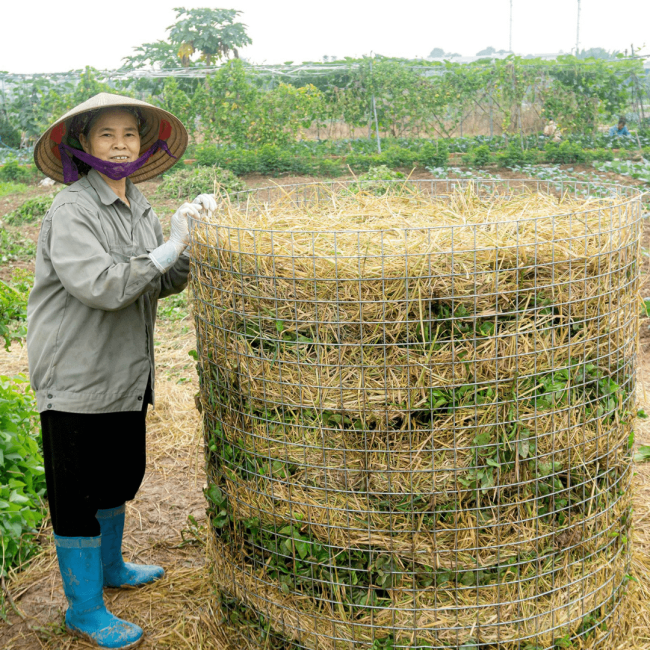 The start of a long-term sustainable impact