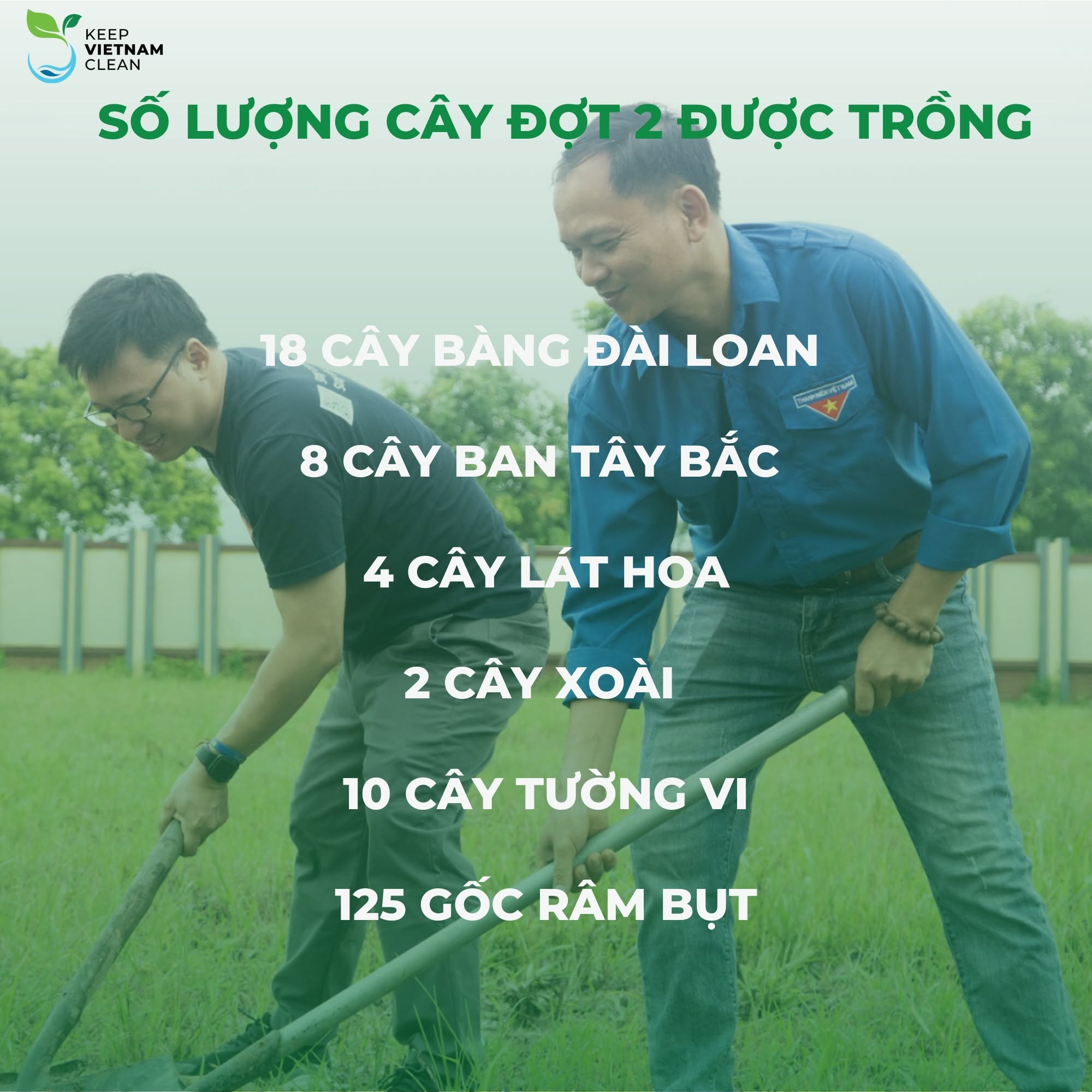 PHỐ XANH CÂY, PHƯƠNG SẠCH RÁC - Ảnh 15