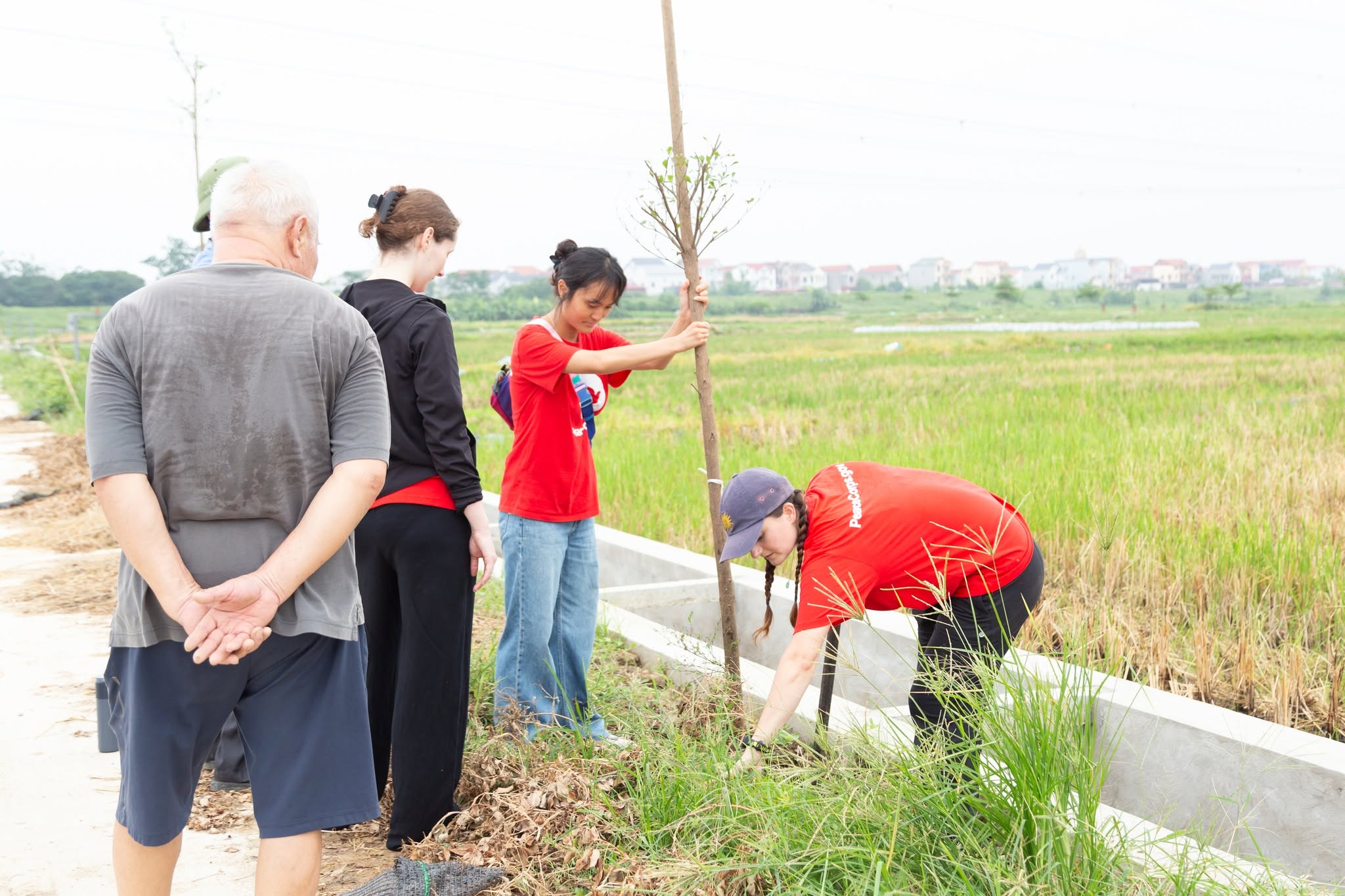 Green Space for All - Ảnh 7