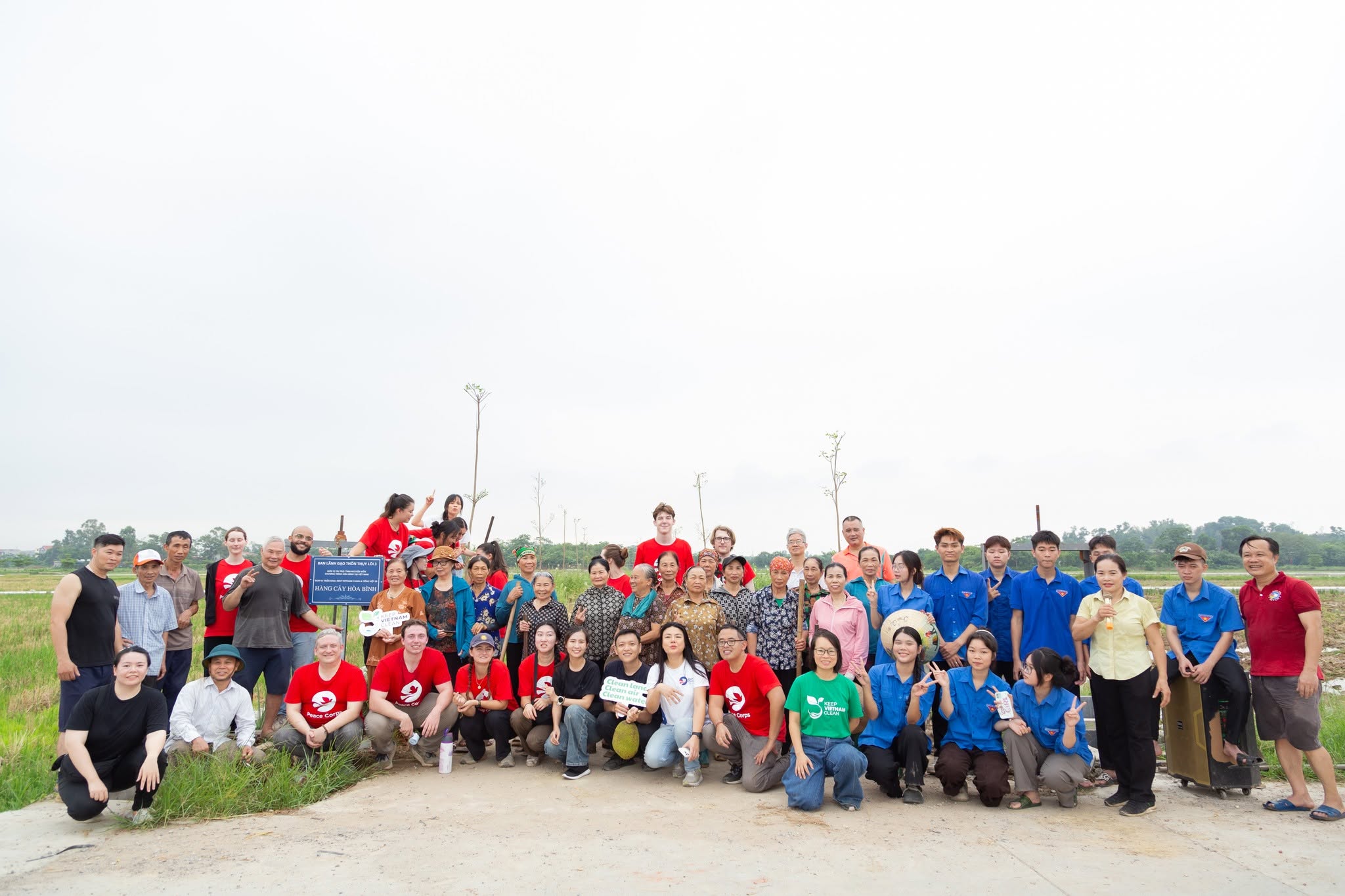 Green Space for All - Ảnh 2