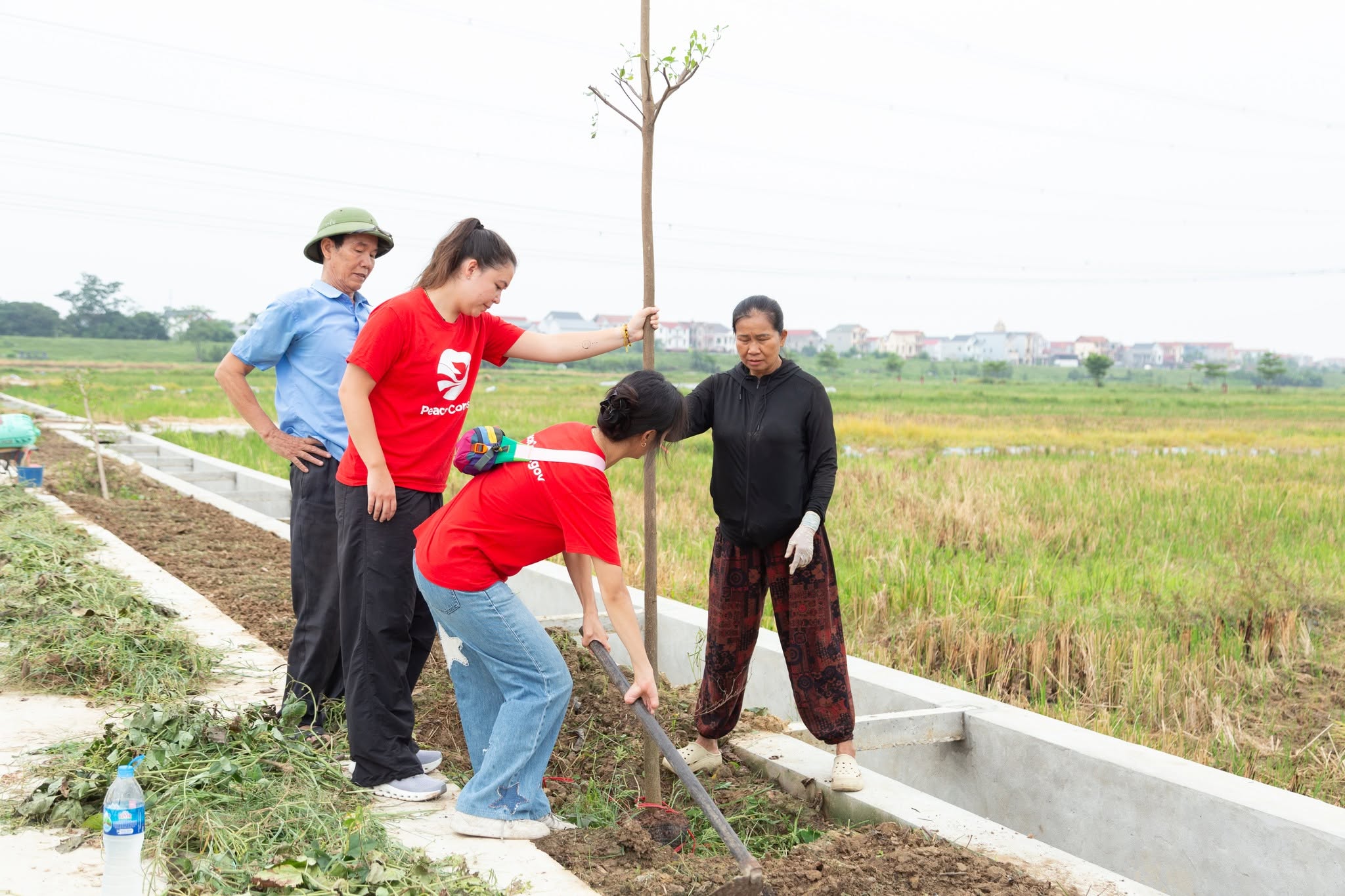 Green Space for All - Ảnh 12