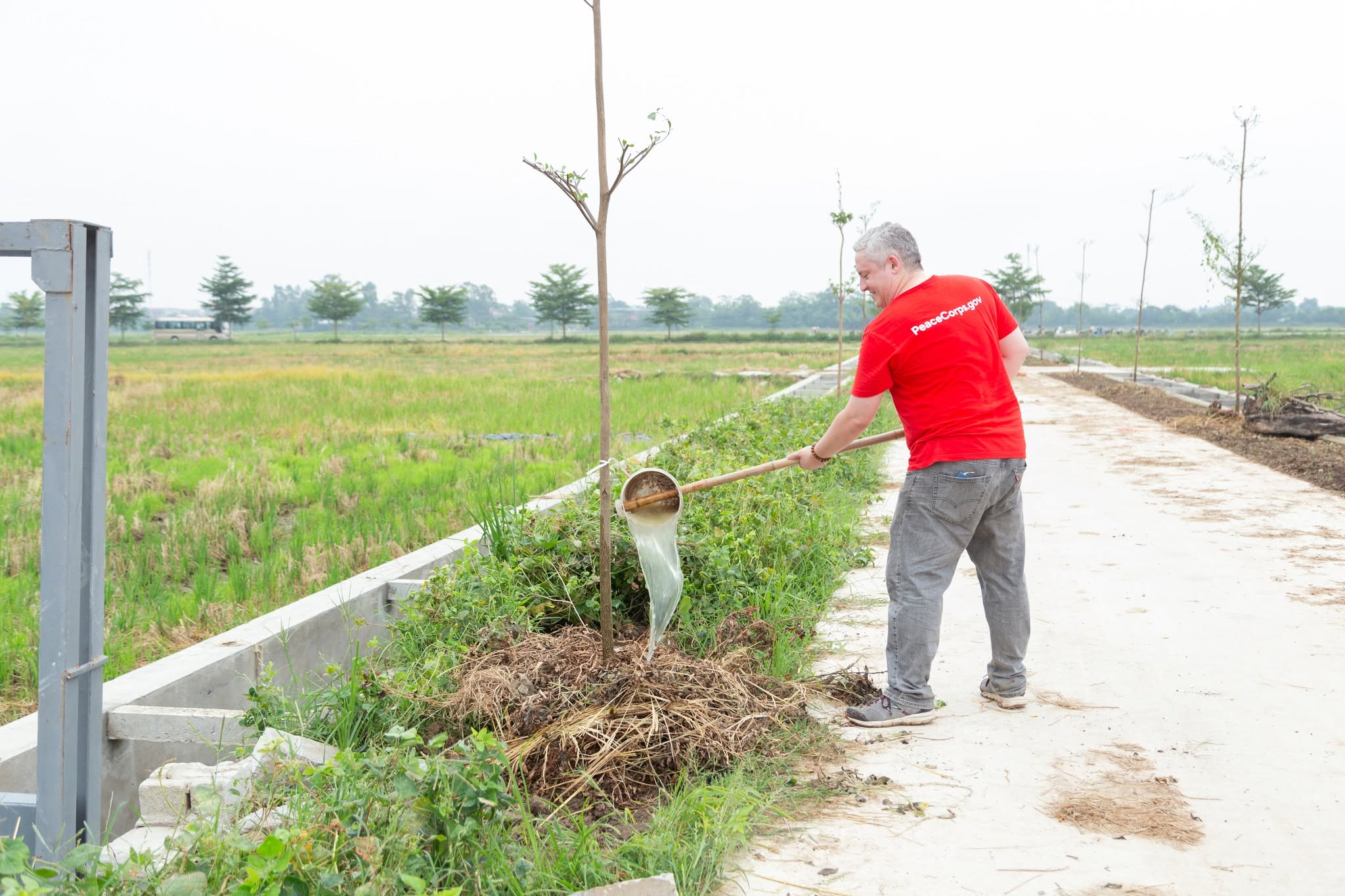 Green Space for All - Ảnh 6