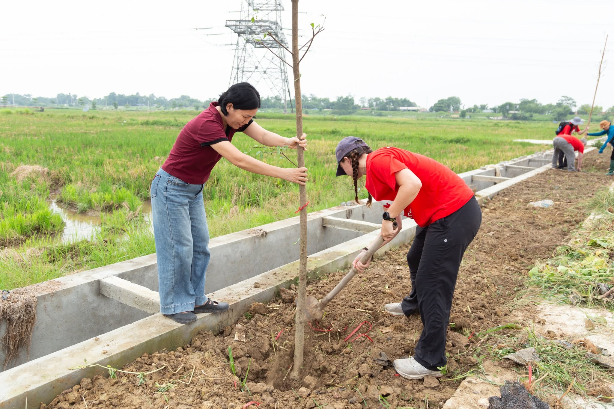 Green Space for All - Ảnh 8