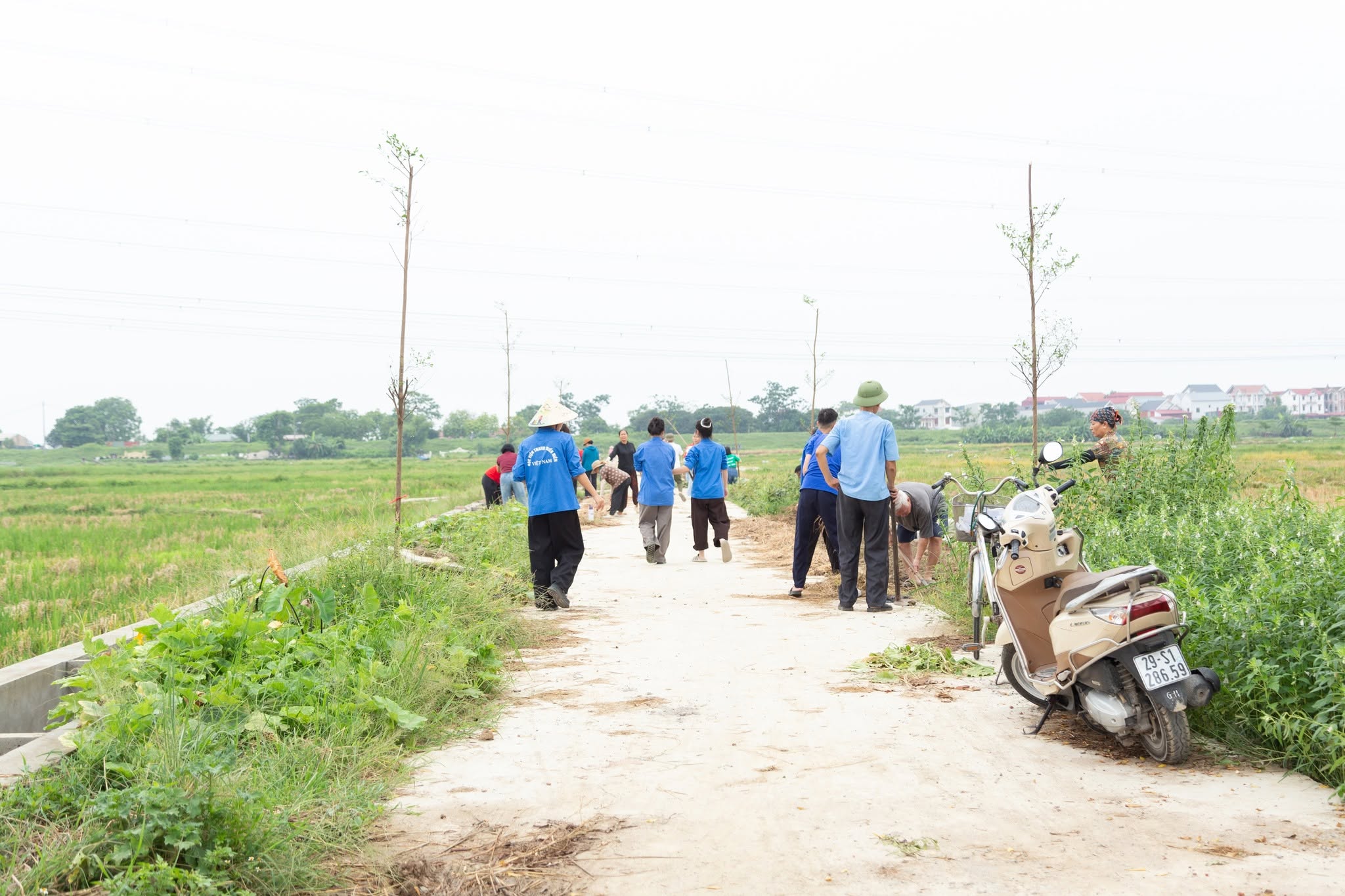 Green Space for All - Ảnh 10
