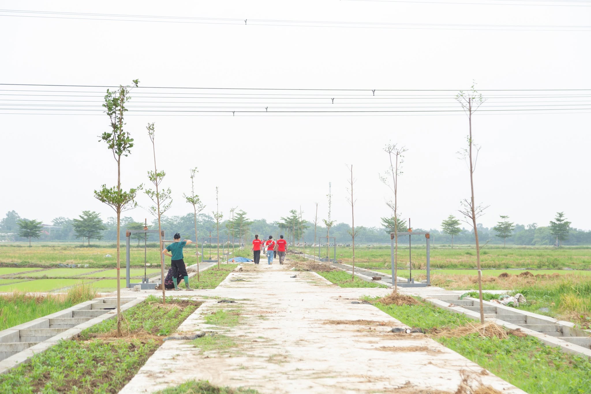 Green Space for All