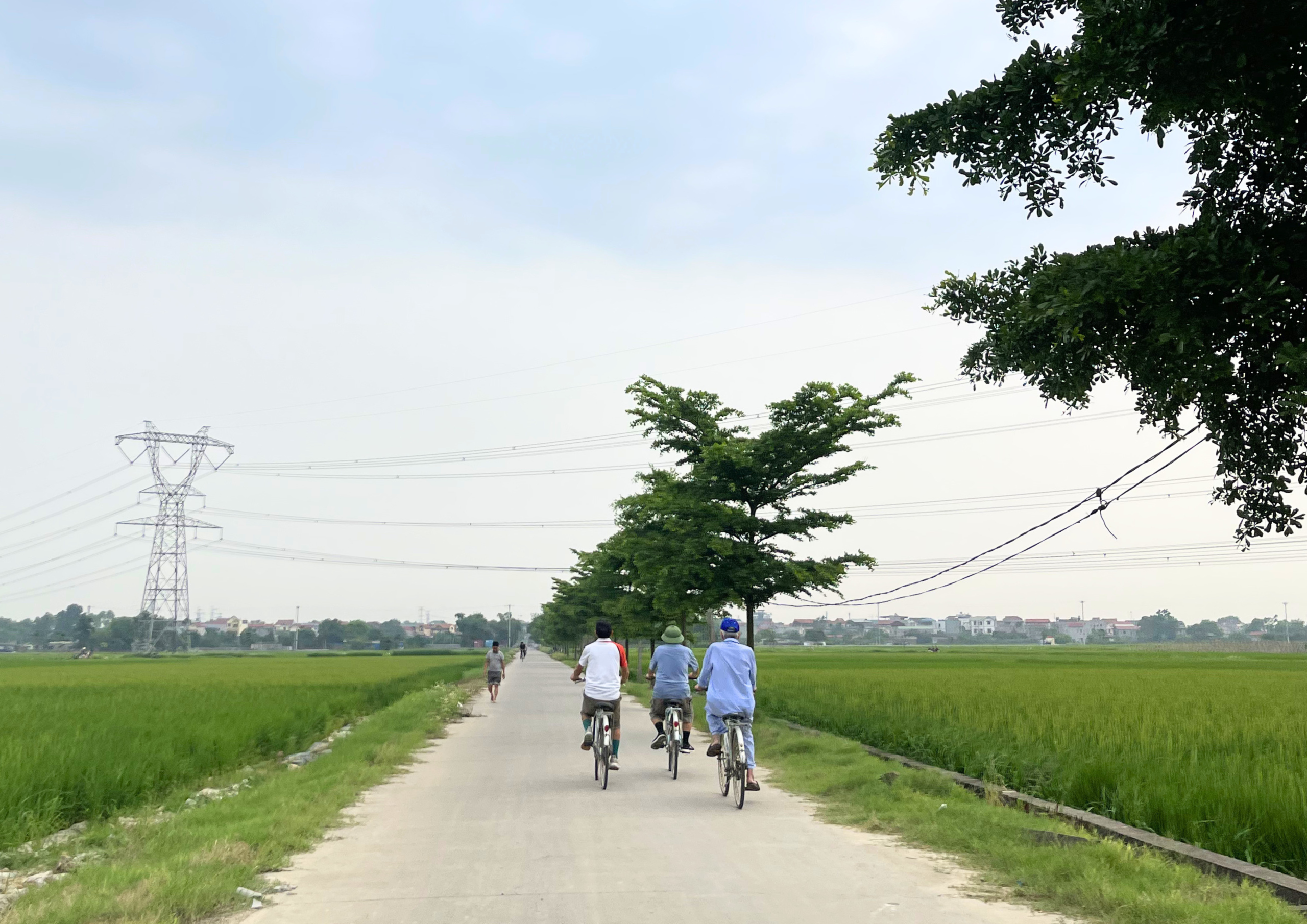 GREEN SPACE FOR ALL