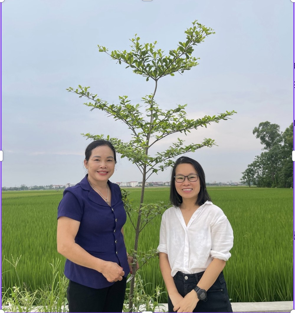 Green Space for All - Ảnh 1