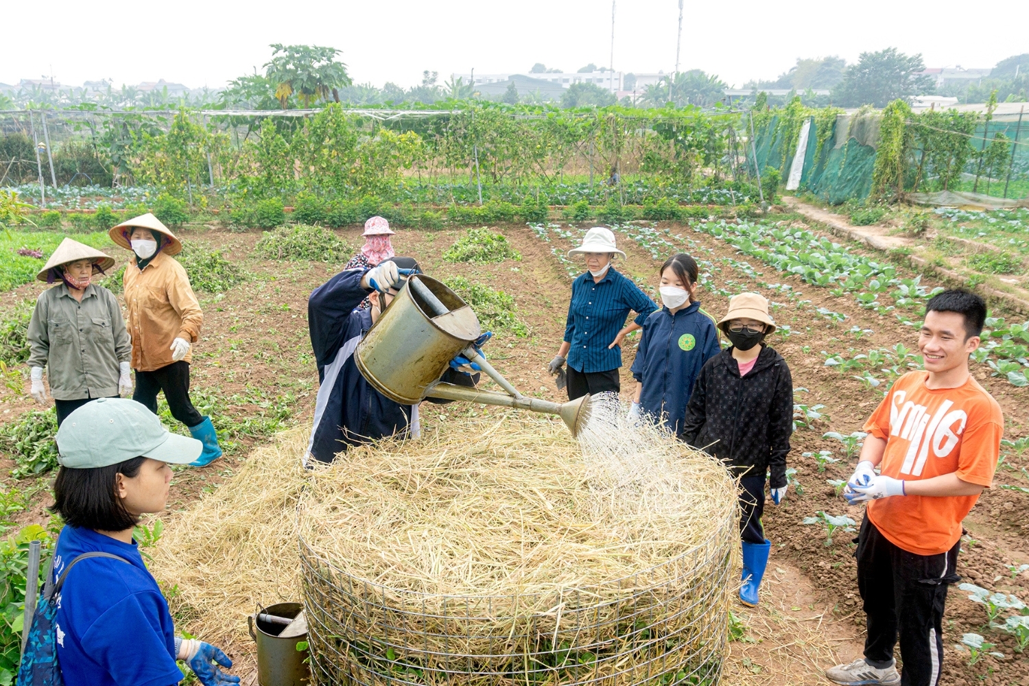 WATCH: Our Regenerative Farming Project is Explained in this Brand New Video