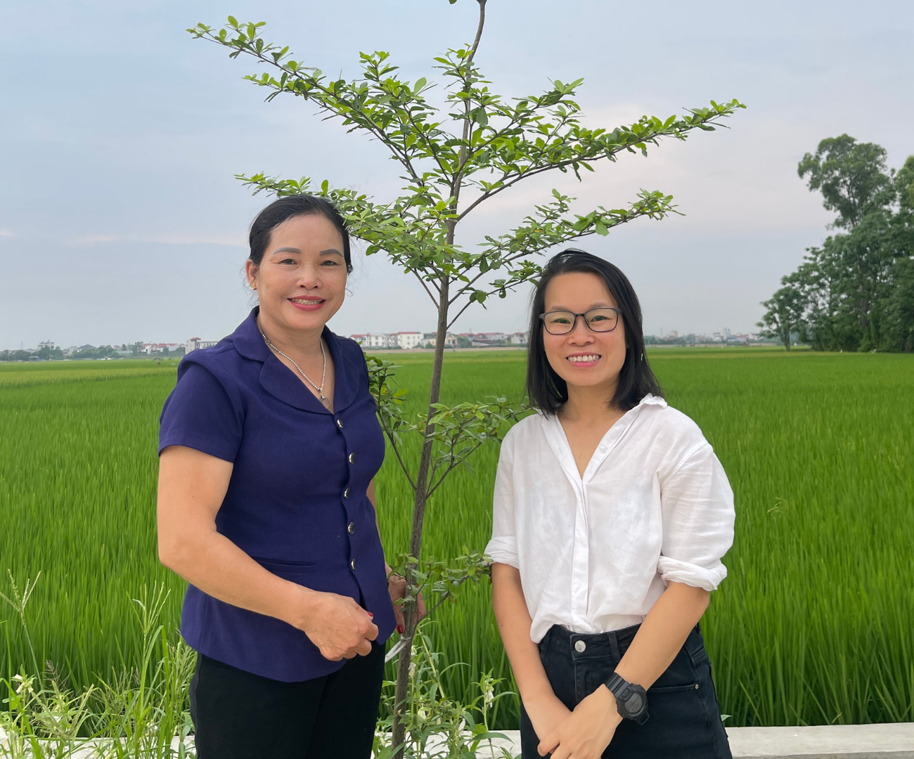 Từ Nắng Cháy đến Bóng Mát: Cuộc Xanh Hóa Thụy Lôi Với Sáng Kiến “Phố Xanh Cây, Phường Sạch Rác”